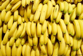 Bananas facing extinction, scientists warn
